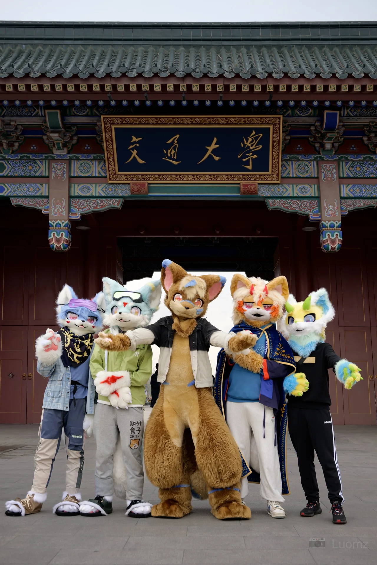 毛毛朋友们在校园正门前合照